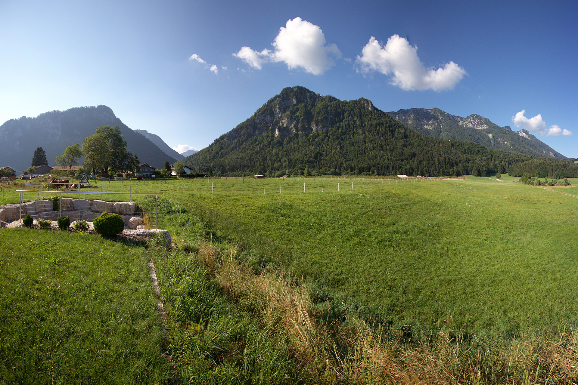 Ferienhaus Panorama